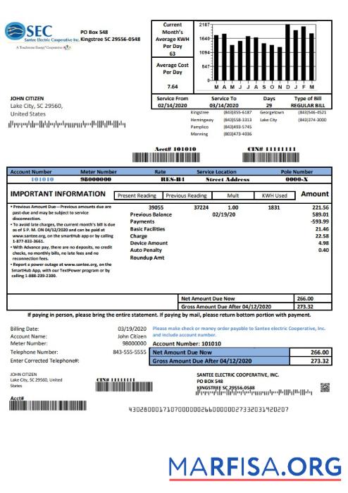 Realistic USA South Carolina Santee Electric Cooperative (SEC) proof of address utility bill template in Word and PDF format